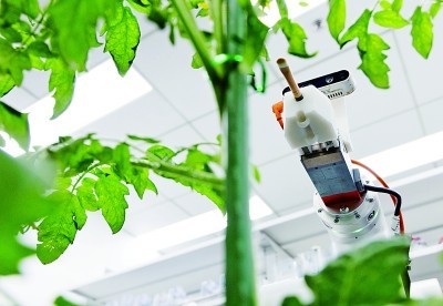 首臺全流程智能育種機器人亮相，引領生物科技研究新浪潮