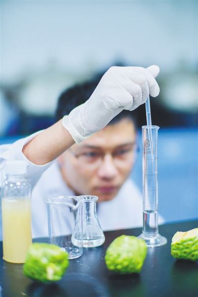 香飲瓊州——海島人民的“花樣飲夏”與生物科技研究